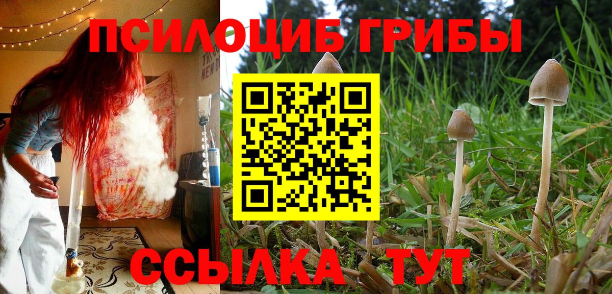 Псилоцибиновые грибы MAGIC MUSHROOMS  Вход с VPN  купить наркоту  Луховицы 